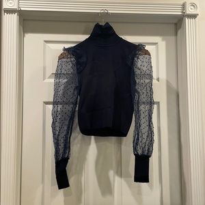 Zara Turtle Neck with Transparent Balloon sleeves